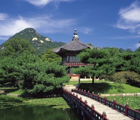 未婚试管国外医院（未婚试管婴儿合法的国家）